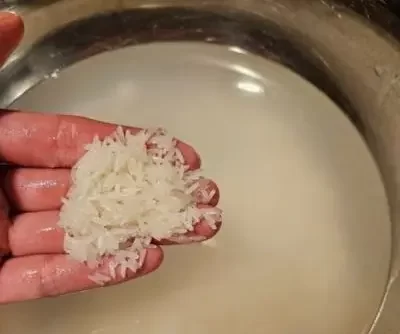 Exotic Rice Hack